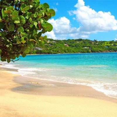 风云体育app下载官网