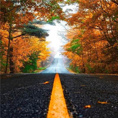 新世纪棋牌下载手机版