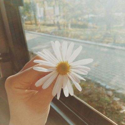 365平台官方版下载